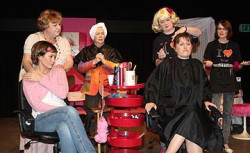 Steel Magnolias (2010)